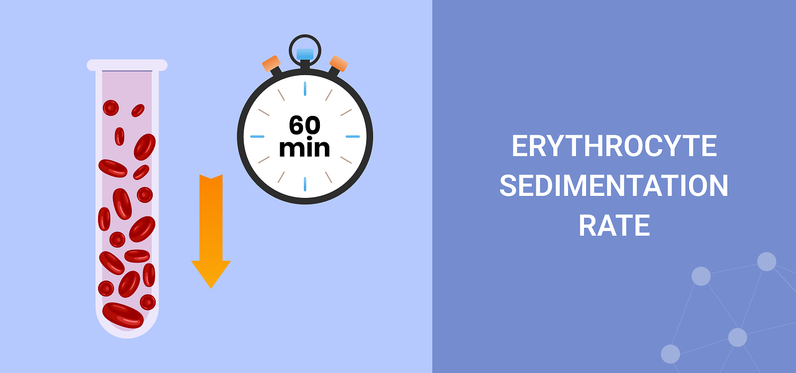 Parameter Tuesday ERYTHROCYTE SEDIMENTATION RATE