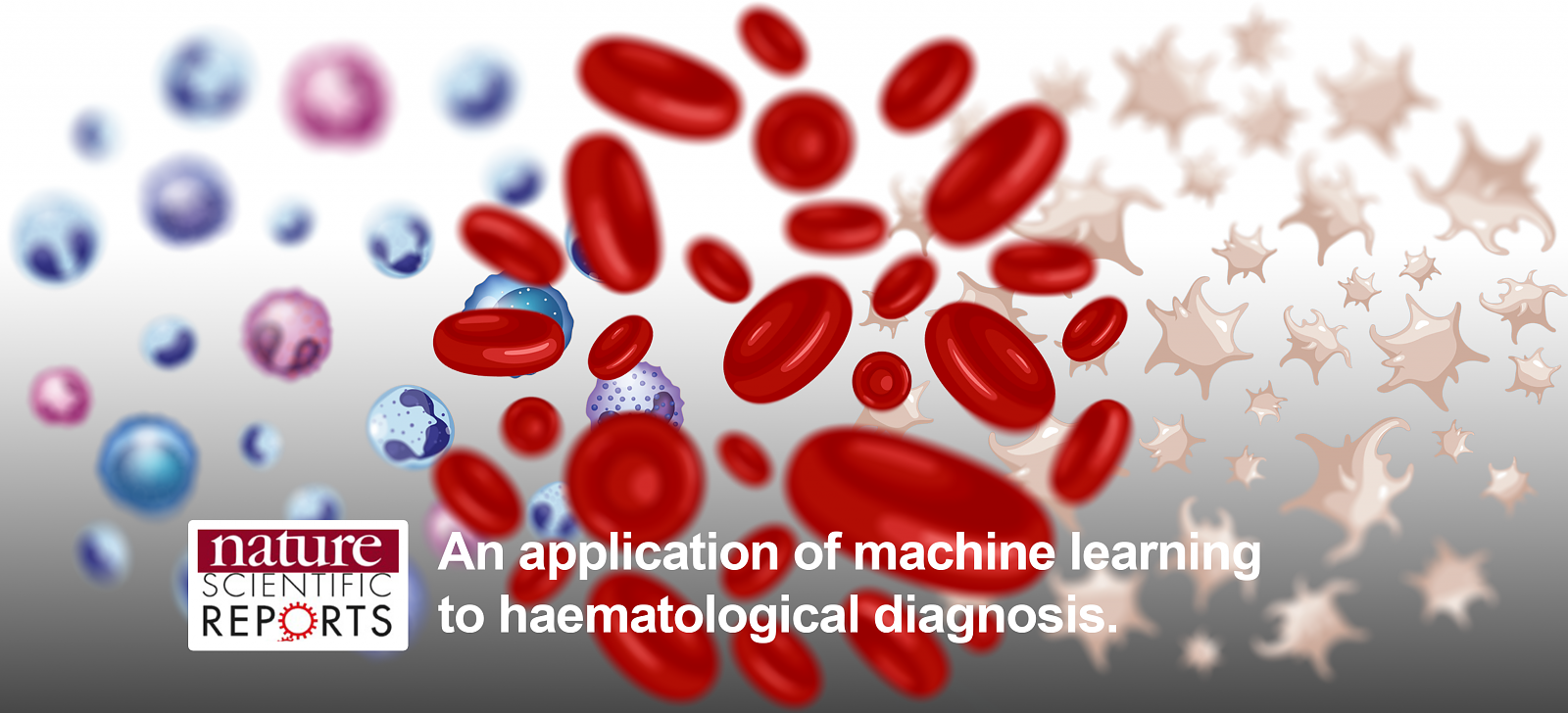 An application of machine learning to haematological diagnosis